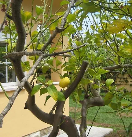 בית נופש Casa D'avo Na Linha