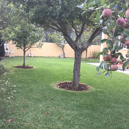 Casa D'avo Na Linha קסקאיס