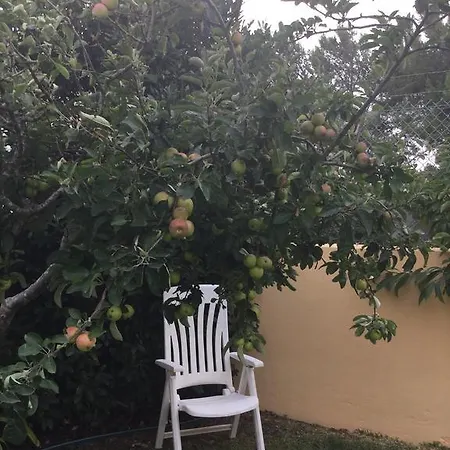Casa D'avo Na Linha בית נופש *